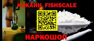 кокс Кингисепп