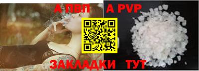 кокс Кингисепп