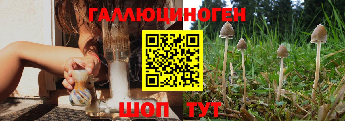 Лангепас  как найти наркотики  Вход с VPN  Псилоцибиновые грибы GOLDEN TEACHER 