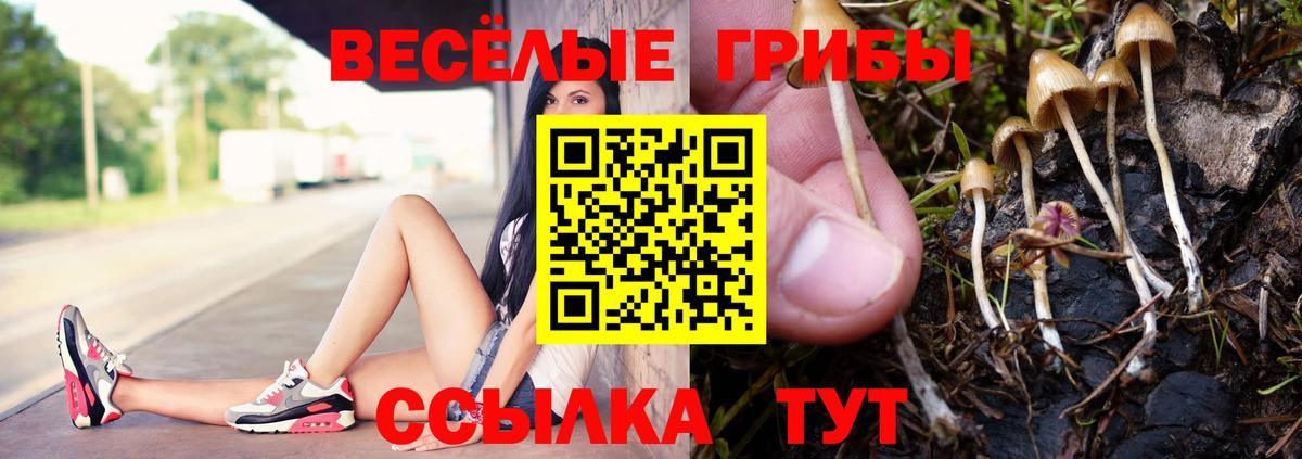 Псилоцибиновые грибы GOLDEN TEACHER Лангепас